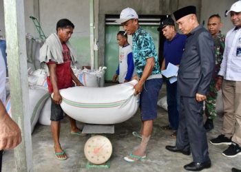 Bupati Saipul Mbuinga Pantau Proses Pembelian Gabah Kering Oleh  Bulog