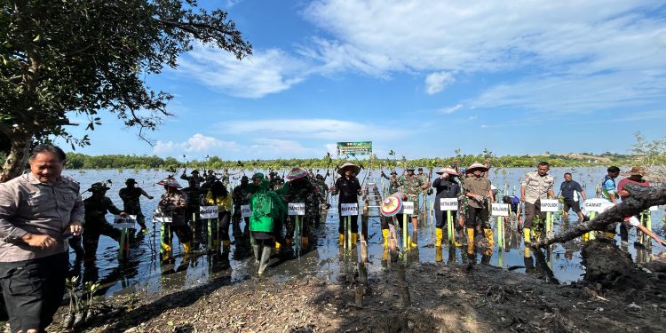 Kodim 1313/PHW Gelar Penanaman Mangrove Sambut HUT TNI ke-80