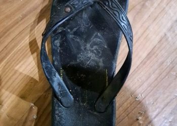 ​Mencekam! Pria Misterius Teror dan Intip Wanita Sedang Mandi di Bone Raya, Tinggalkan Jejak Sandal Jepit