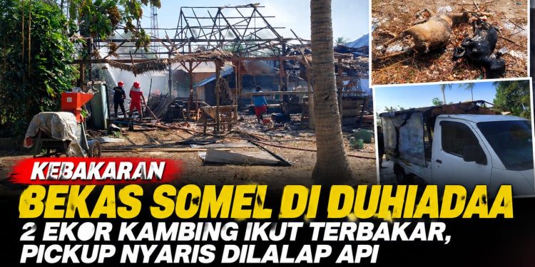 Kebakaran Bekas Somel di Duhiadaa, 2 Kambing Terpanggang dan Pickup Nyaris Terbakar